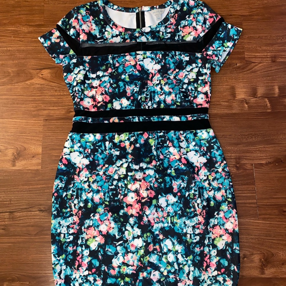 Belle + Sky  form fitting dresss